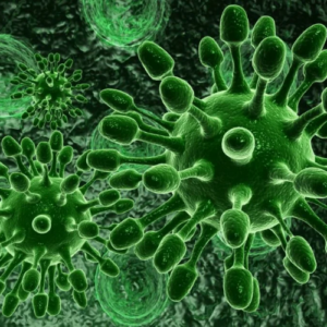 Les maladies d'origine bactériennes