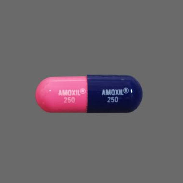 amoxicillin 250mg